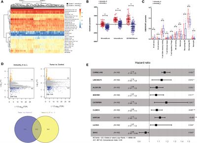 Silencing of lncRNA CHRM3-AS2 Expression Exerts Anti-Tumour Effects Against Glioma via Targeting microRNA-370-5p/KLF4